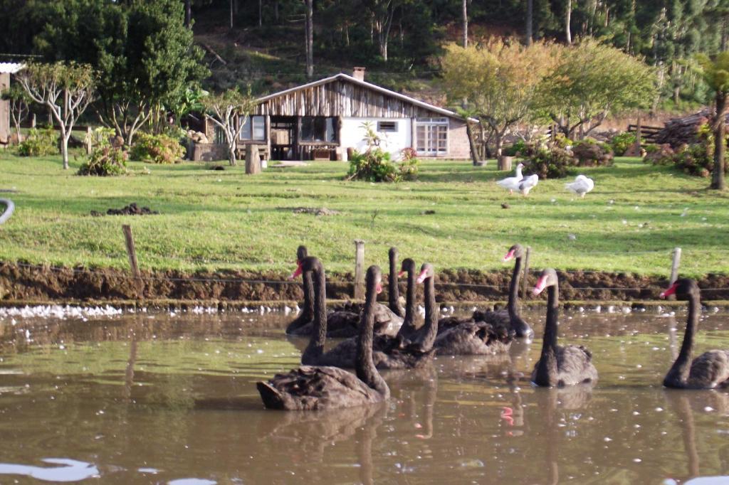 Hotel Fazenda Pampas Canela Kültér fotó