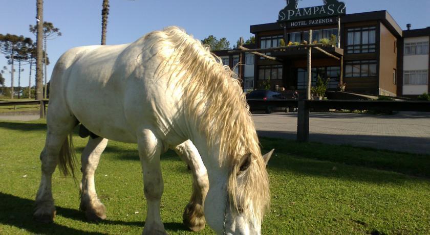 Hotel Fazenda Pampas Canela Kültér fotó